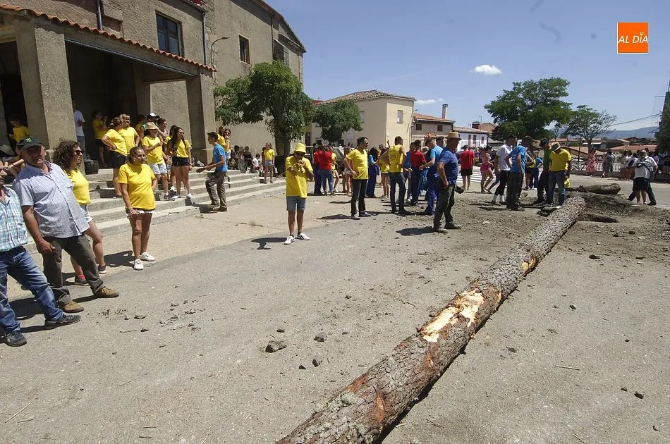 Foto 3 - El Sahugo iza el pino de sus fiestas mandando mucho &aacute;nimo a un Quinto hospitalizado  