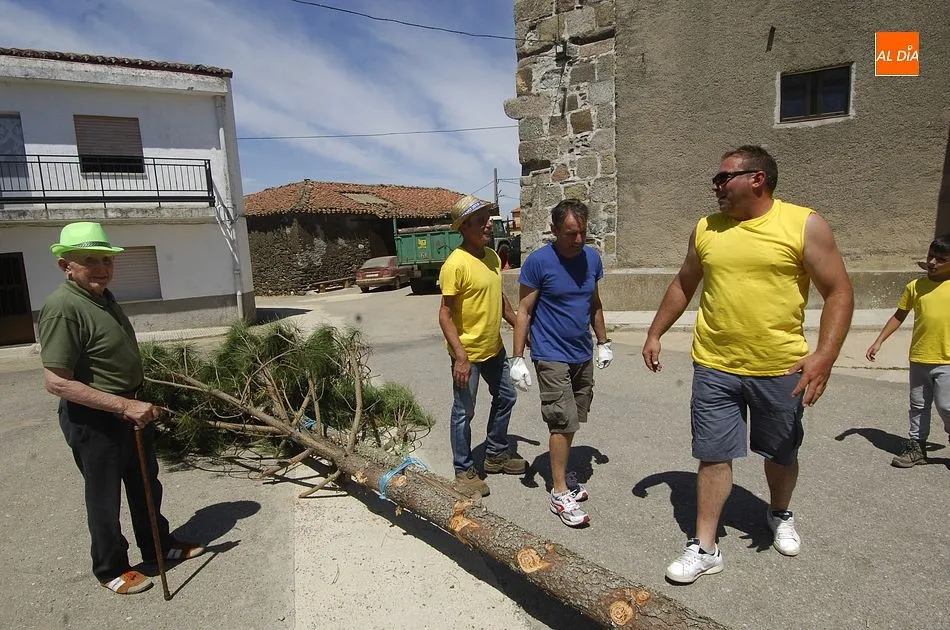 Foto 4 - El Sahugo iza el pino de sus fiestas mandando mucho &aacute;nimo a un Quinto hospitalizado  