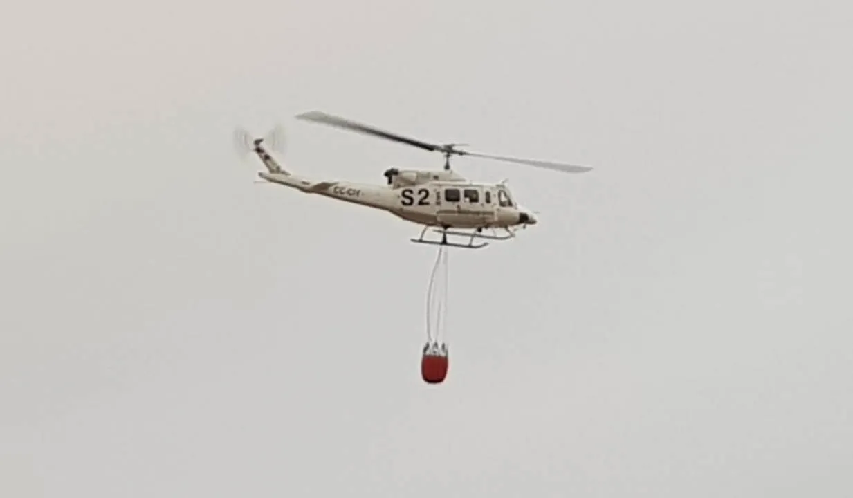 Foto 3 - Las llamas calcinan 1,7 hect&aacute;reas de encinas en Tenebr&oacute;n  