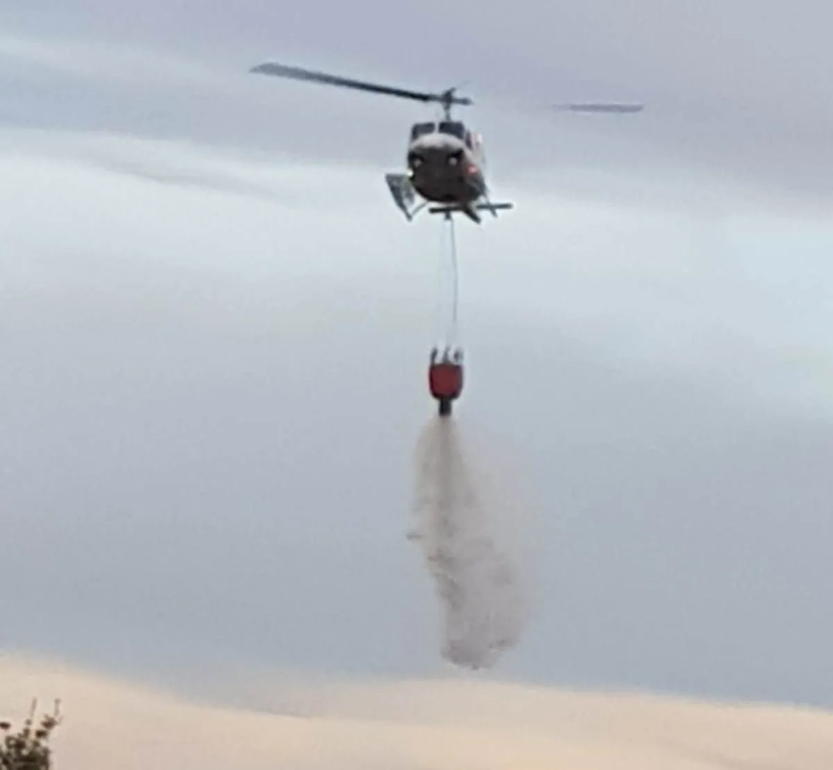 Foto 2 - Las llamas calcinan 1,7 hect&aacute;reas de encinas en Tenebr&oacute;n  