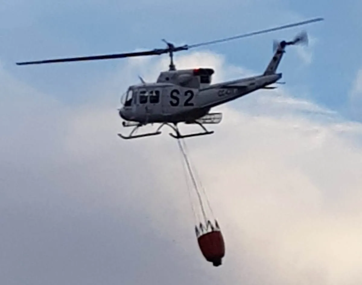 Foto 4 - Las llamas calcinan 1,7 hect&aacute;reas de encinas en Tenebr&oacute;n  