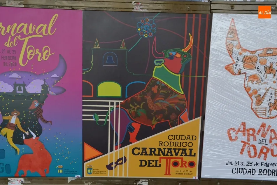 Foto 11 - Un total de 20 trabajos optan a anunciar el Carnaval del Toro 2020  