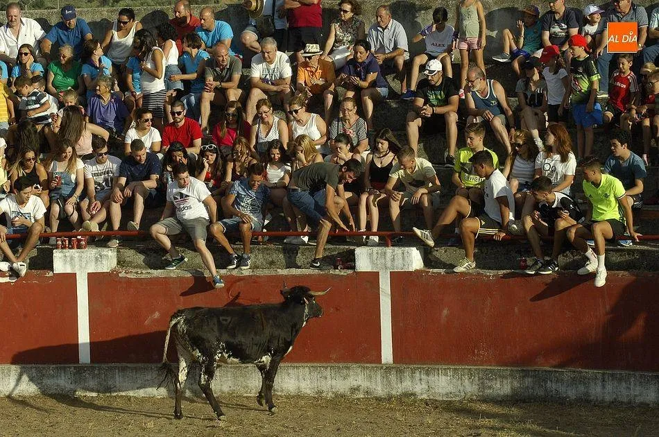 El pregón de Cristian Merino, la actuación de SMS y un encierro, entre las actividades festivas...