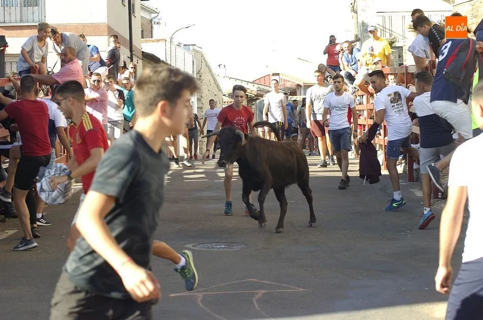 Foto 11 - Ambiente taurino en los &uacute;ltimos d&iacute;as de las fiestas de San Cayetano