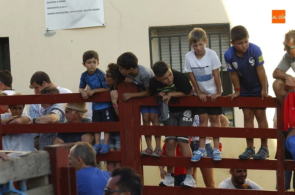 Foto 10 - Ambiente taurino en los &uacute;ltimos d&iacute;as de las fiestas de San Cayetano
