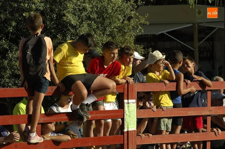 Foto 8 - Ambiente taurino en los &uacute;ltimos d&iacute;as de las fiestas de San Cayetano