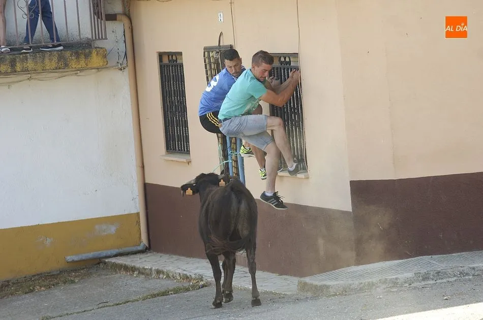 Foto 7 - Ambiente taurino en los &uacute;ltimos d&iacute;as de las fiestas de San Cayetano