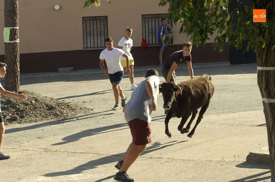 Foto 6 - Ambiente taurino en los &uacute;ltimos d&iacute;as de las fiestas de San Cayetano