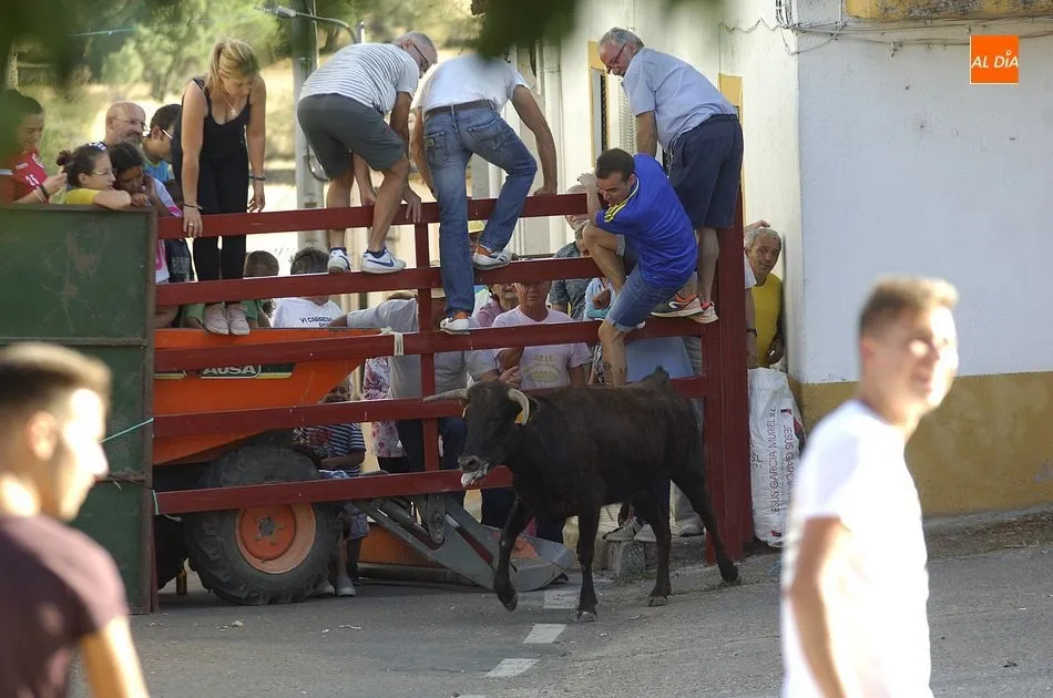 Foto 5 - Ambiente taurino en los &uacute;ltimos d&iacute;as de las fiestas de San Cayetano
