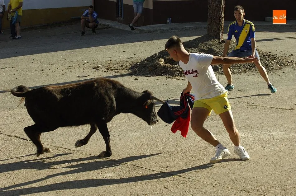 Foto 4 - Ambiente taurino en los &uacute;ltimos d&iacute;as de las fiestas de San Cayetano