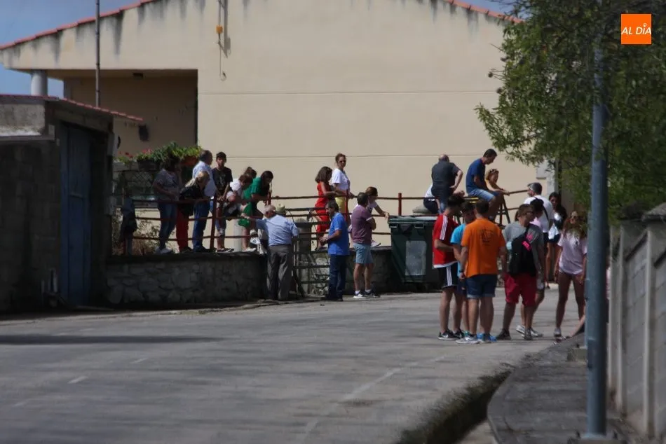 Foto 4 - Fugaz y vibrante encierro de Valrubio en Saucelle  