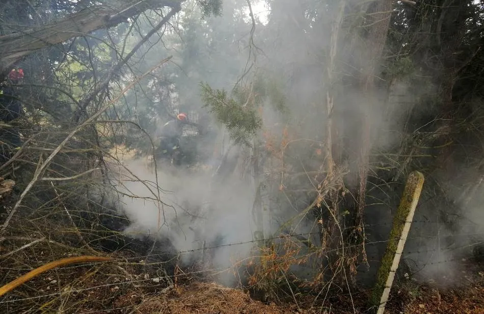 Foto 11 - Un fuego declarado en las Huertas de Santa Cruz se queda cerca de varias viviendas  