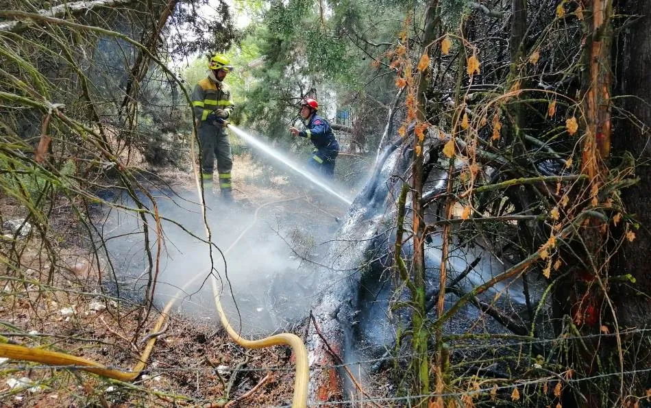 Foto 8 - Un fuego declarado en las Huertas de Santa Cruz se queda cerca de varias viviendas  