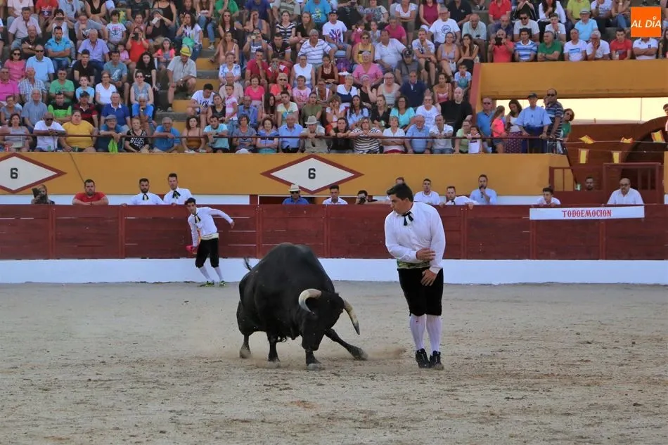 Concurso de cortes del año pasado