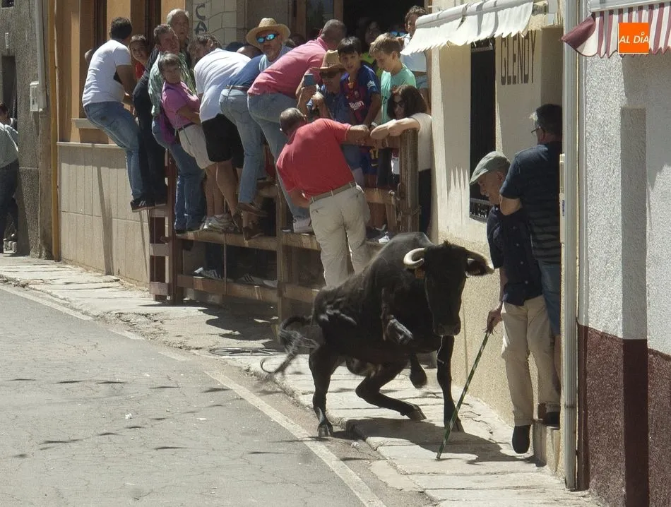 Momento de apuro para un espectador en pleno encierro | Fotos Adrián Martín