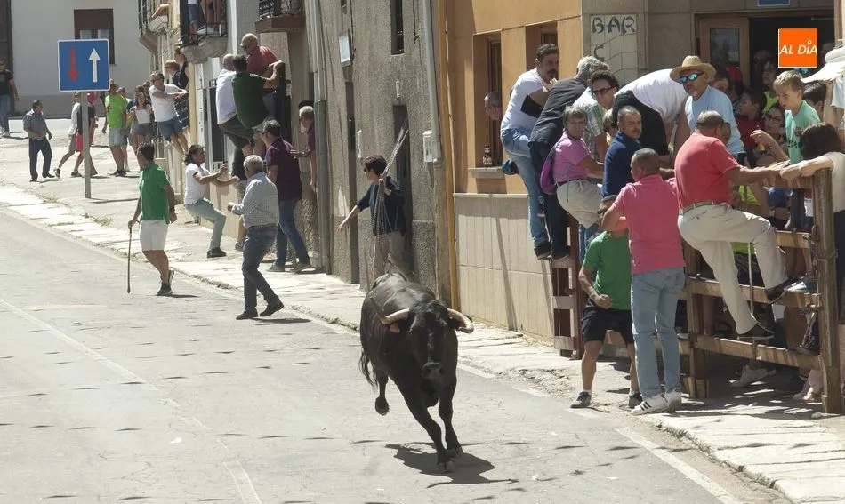 Foto 11 - El Bod&oacute;n vibra con el encierro urbano de sus fiestas  