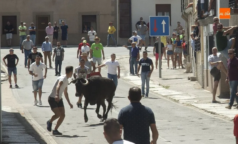 Foto 8 - El Bod&oacute;n vibra con el encierro urbano de sus fiestas  