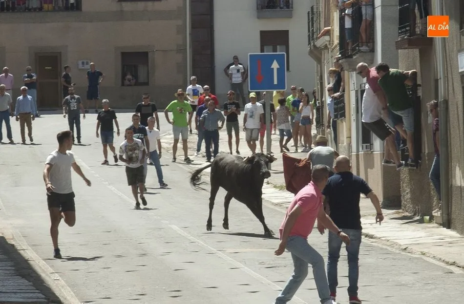 Foto 9 - El Bod&oacute;n vibra con el encierro urbano de sus fiestas  