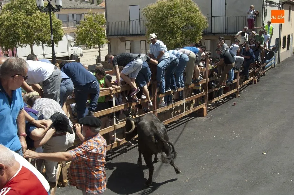 Foto 10 - El Bod&oacute;n vibra con el encierro urbano de sus fiestas  