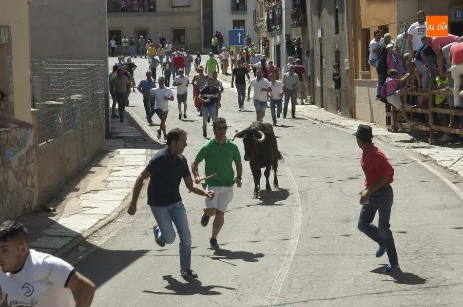 Foto 6 - El Bod&oacute;n vibra con el encierro urbano de sus fiestas  