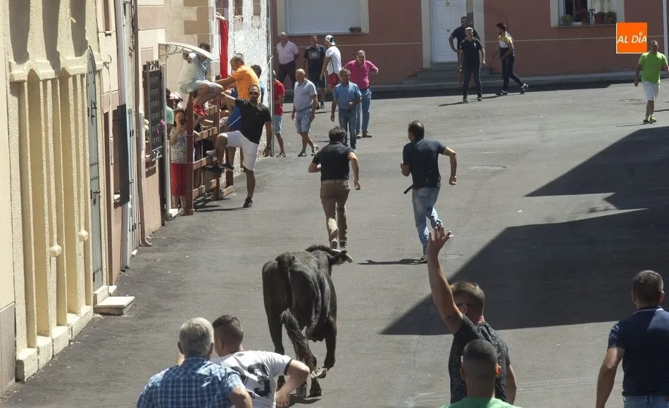 Foto 4 - El Bod&oacute;n vibra con el encierro urbano de sus fiestas  