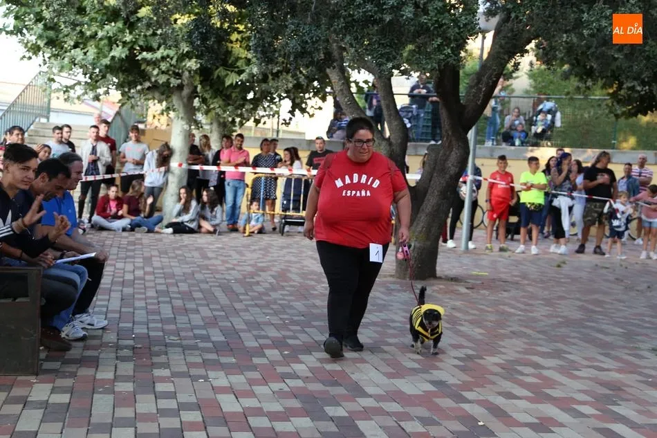 El público disfrutó con las diferentes mascotas en el desfile