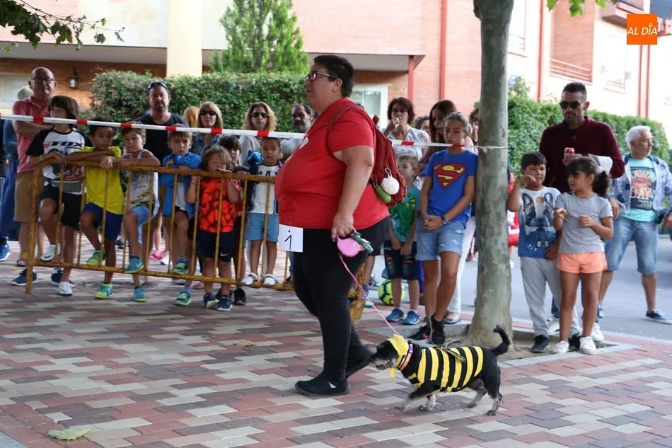 Foto 4 - Las mascotas desfilan atrayendo las miradas en Villamayor