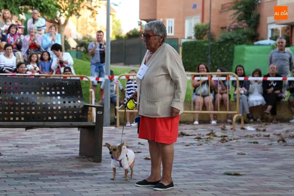 Foto 3 - Las mascotas desfilan atrayendo las miradas en Villamayor