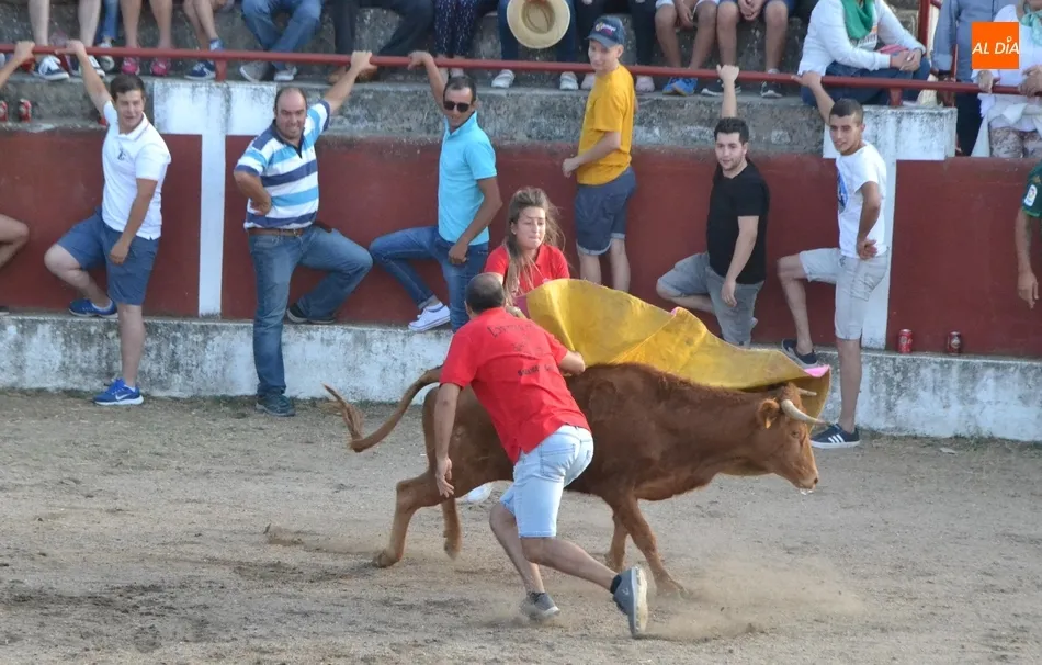 Foto 11 - Entretenida tarde taurina en Saelices con alg&uacute;n que otro peque&ntilde;o susto  