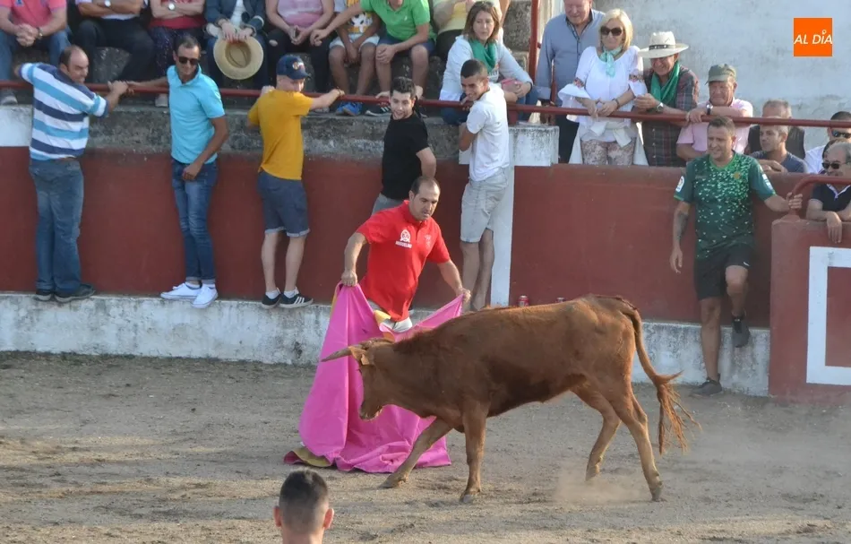 Foto 8 - Entretenida tarde taurina en Saelices con alg&uacute;n que otro peque&ntilde;o susto  