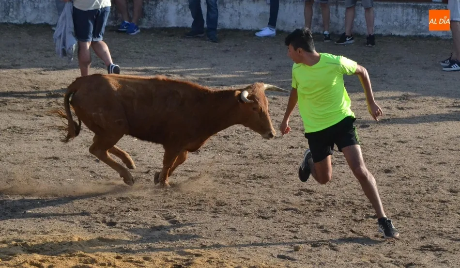 Foto 7 - Entretenida tarde taurina en Saelices con alg&uacute;n que otro peque&ntilde;o susto  