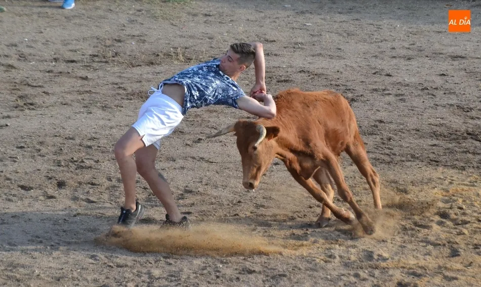 Foto 6 - Entretenida tarde taurina en Saelices con alg&uacute;n que otro peque&ntilde;o susto  