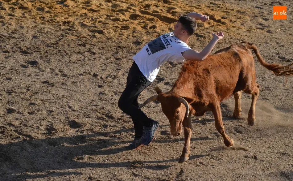 Foto 5 - Entretenida tarde taurina en Saelices con alg&uacute;n que otro peque&ntilde;o susto  