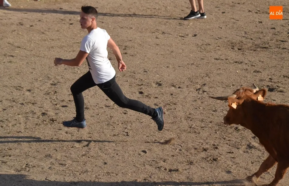 Foto 4 - Entretenida tarde taurina en Saelices con alg&uacute;n que otro peque&ntilde;o susto  