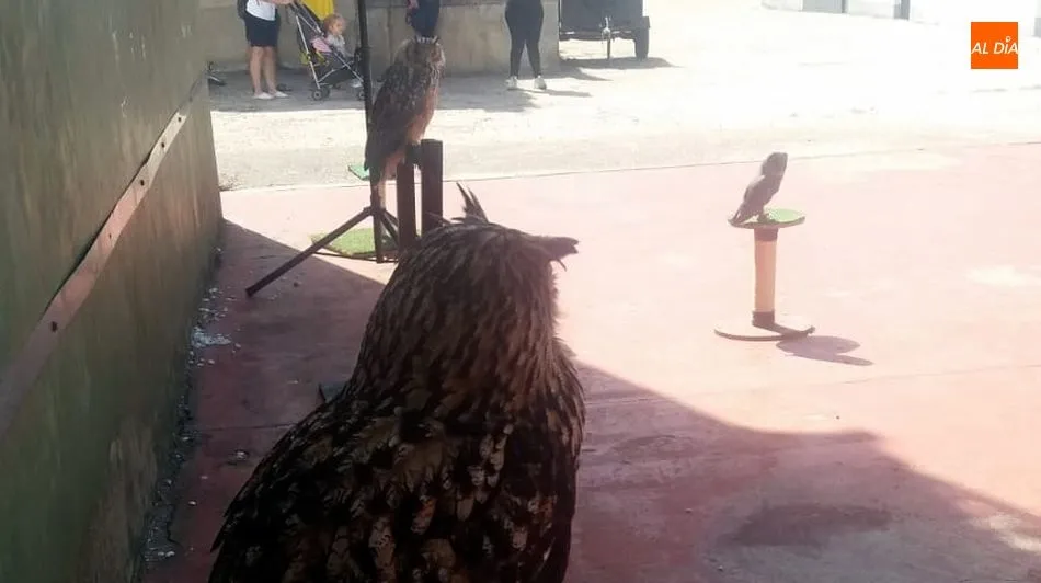 Foto 7 - Animado fin de semana en Ba&ntilde;ob&aacute;rez con las actividades de la Semana Cultural