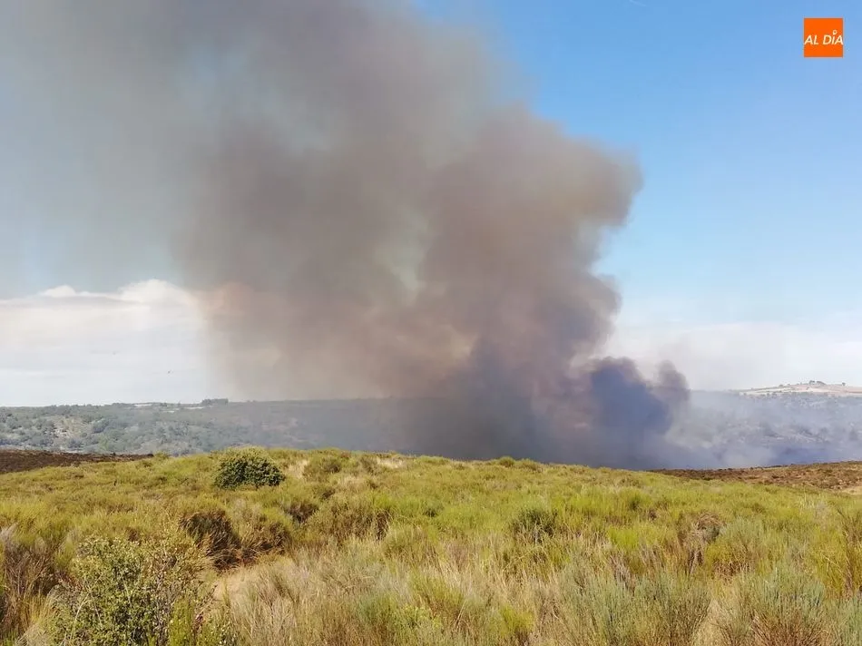 Foto 6 - Controlado el incendio forestal de Saldeana y Barruecopardo que ha calcinado unas 170 hect&aacute;reas  