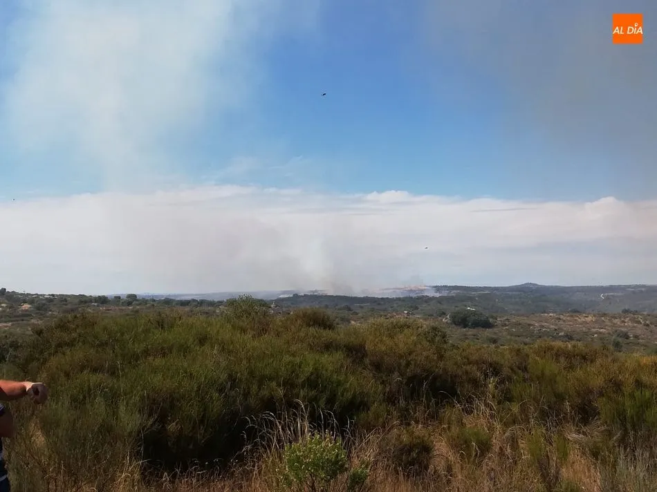 Foto 2 - Controlado el incendio forestal de Saldeana y Barruecopardo que ha calcinado unas 170 hect&aacute;reas  