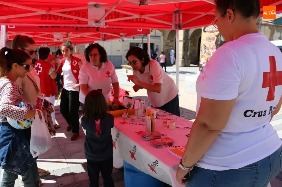 Foto 9 - La Asamblea Comarcal de Cruz Roja en Vitigudino celebra el &lsquo;D&iacute;a de la banderita&rsquo;&nbsp;  