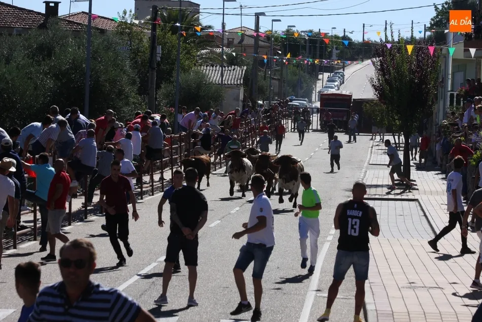 Foto 6 - Bonito encierro de Valdeflores para el primer festejo de San Roque en Villarino  