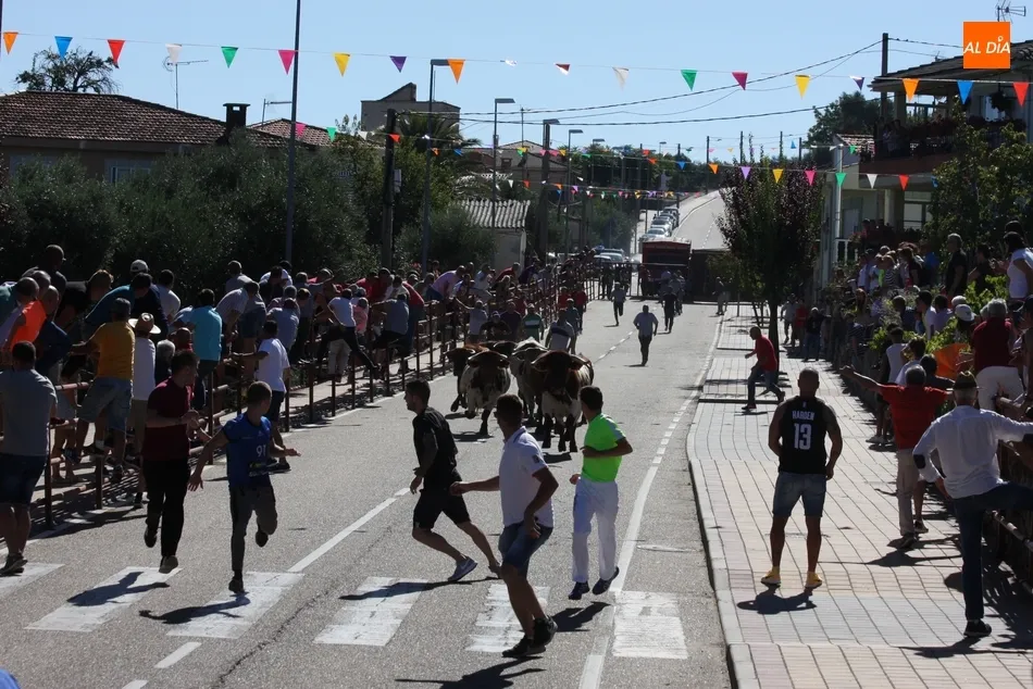 Foto 4 - Bonito encierro de Valdeflores para el primer festejo de San Roque en Villarino  