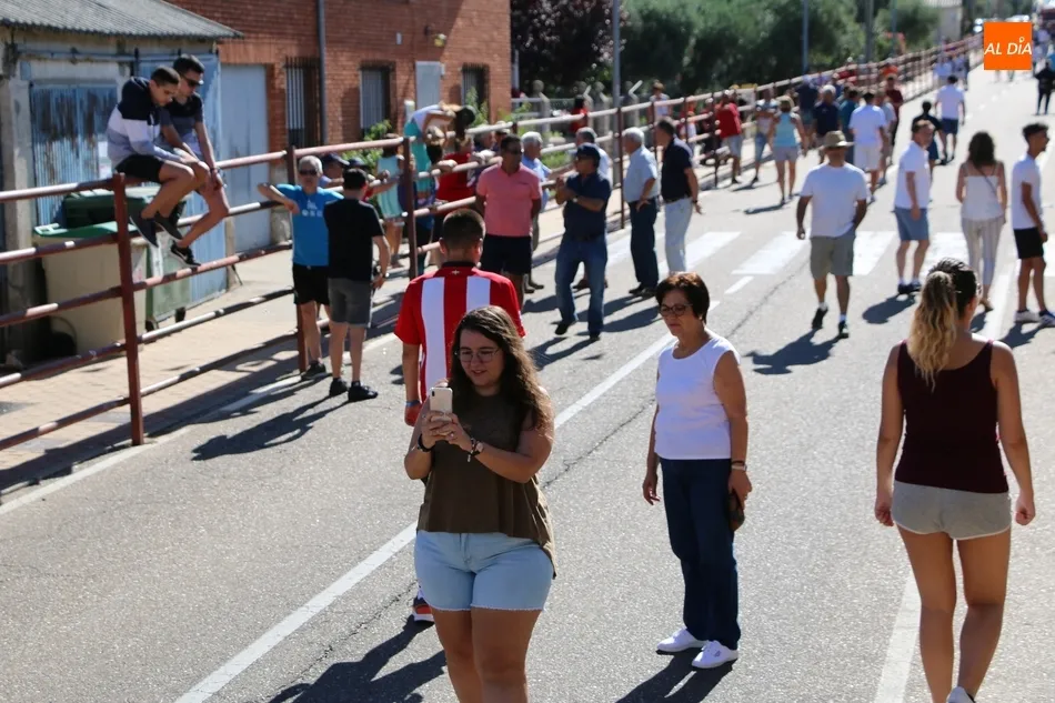 Foto 2 - Bonito encierro de Valdeflores para el primer festejo de San Roque en Villarino  