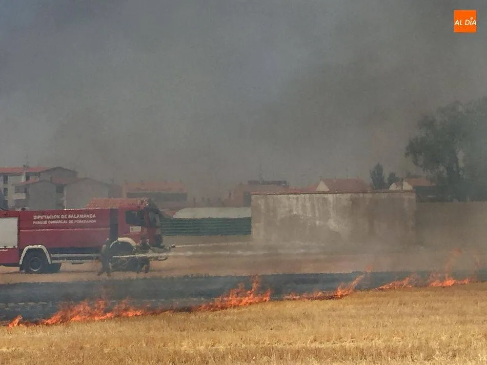 Foto 2 - Salamanca supera los 150 incendios forestales en lo que va de a&ntilde;o  