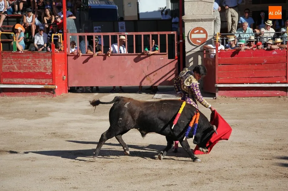 Foto 6 - Triunfo de Jes&uacute;s de la Calzada y Fabio Jim&eacute;nez en Villarino con novillos de Valdeflores  