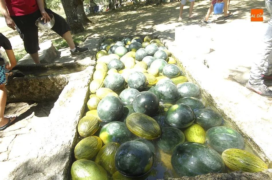 Foto 3 - Cientos de payengos degustan una caldereta en el Charco del Palo  