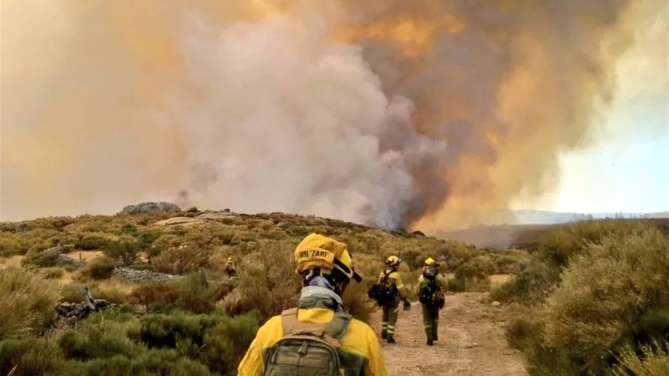 El incendio ya  ha afectado a más de 180 hectáreas