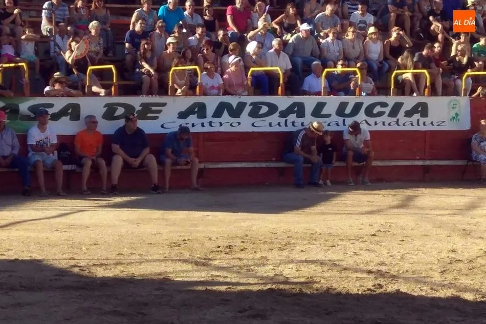 Foto 5 - En Villarino contin&uacute;an las fiestas con un vistoso espect&aacute;culo folcl&oacute;rico andaluz-ecuestre  