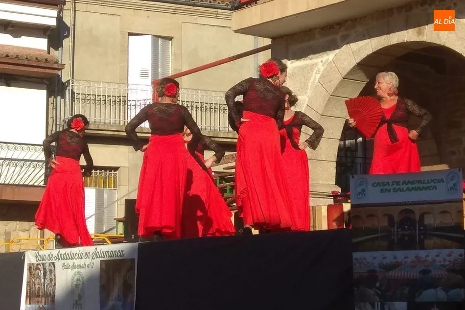 Foto 4 - En Villarino contin&uacute;an las fiestas con un vistoso espect&aacute;culo folcl&oacute;rico andaluz-ecuestre  