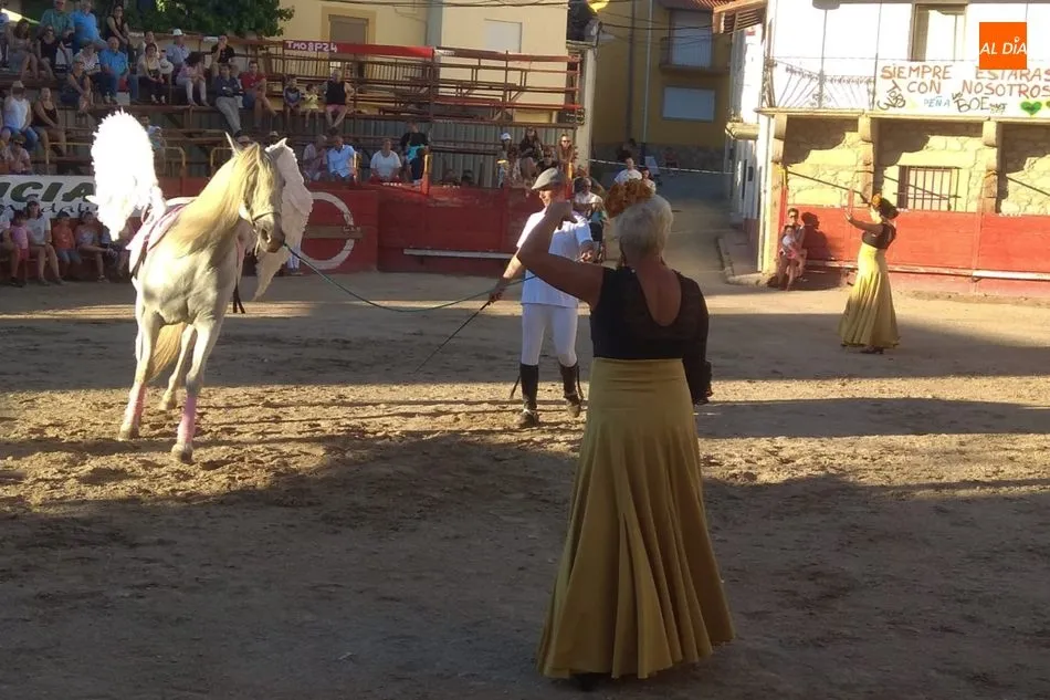 Foto 8 - En Villarino contin&uacute;an las fiestas con un vistoso espect&aacute;culo folcl&oacute;rico andaluz-ecuestre  