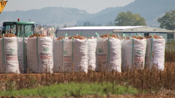 Sacos de patata / Agronews