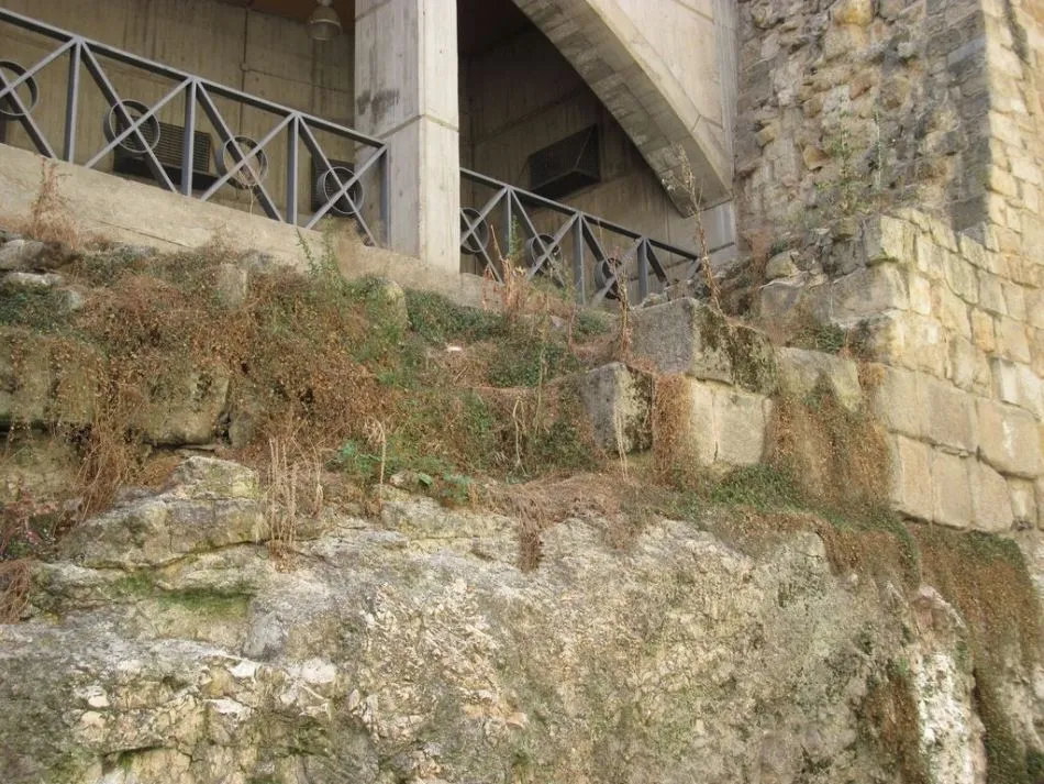 Foto 11 - Ciudadanos por la Defensa del Patrimonio pide m&aacute;s limpieza en la Cueva de Salamanca